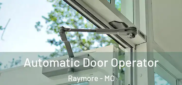 Automatic Door Operator Raymore - MO