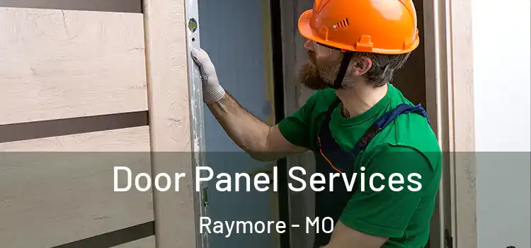 Door Panel Services Raymore - MO
