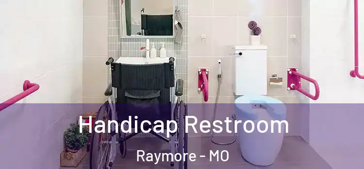 Handicap Restroom Raymore - MO