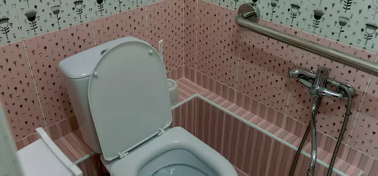 Meeting Diverse Needs With Accessible Restroom Solutions in Raymore, MO