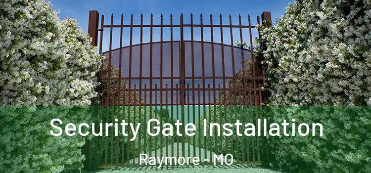 Security Gate Installation Raymore - MO