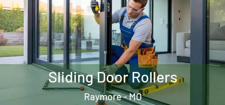 Sliding Door Rollers Raymore - MO